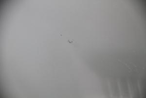 post-7102-1332601027_thumb.jpg