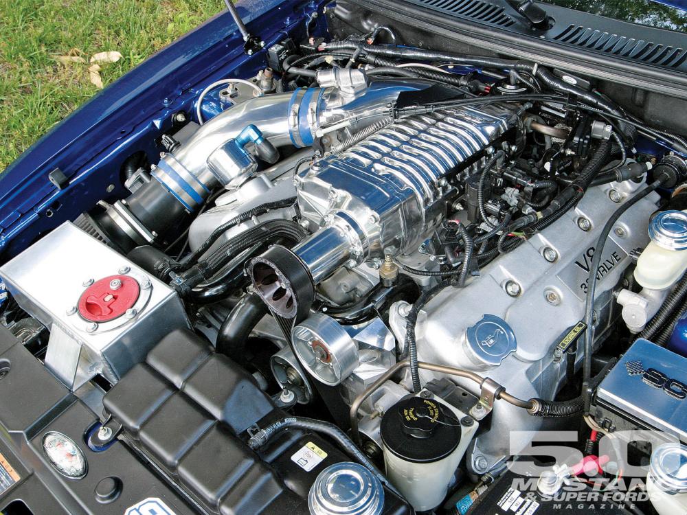 mustang-cobra-terminator-engine-i15.jpg