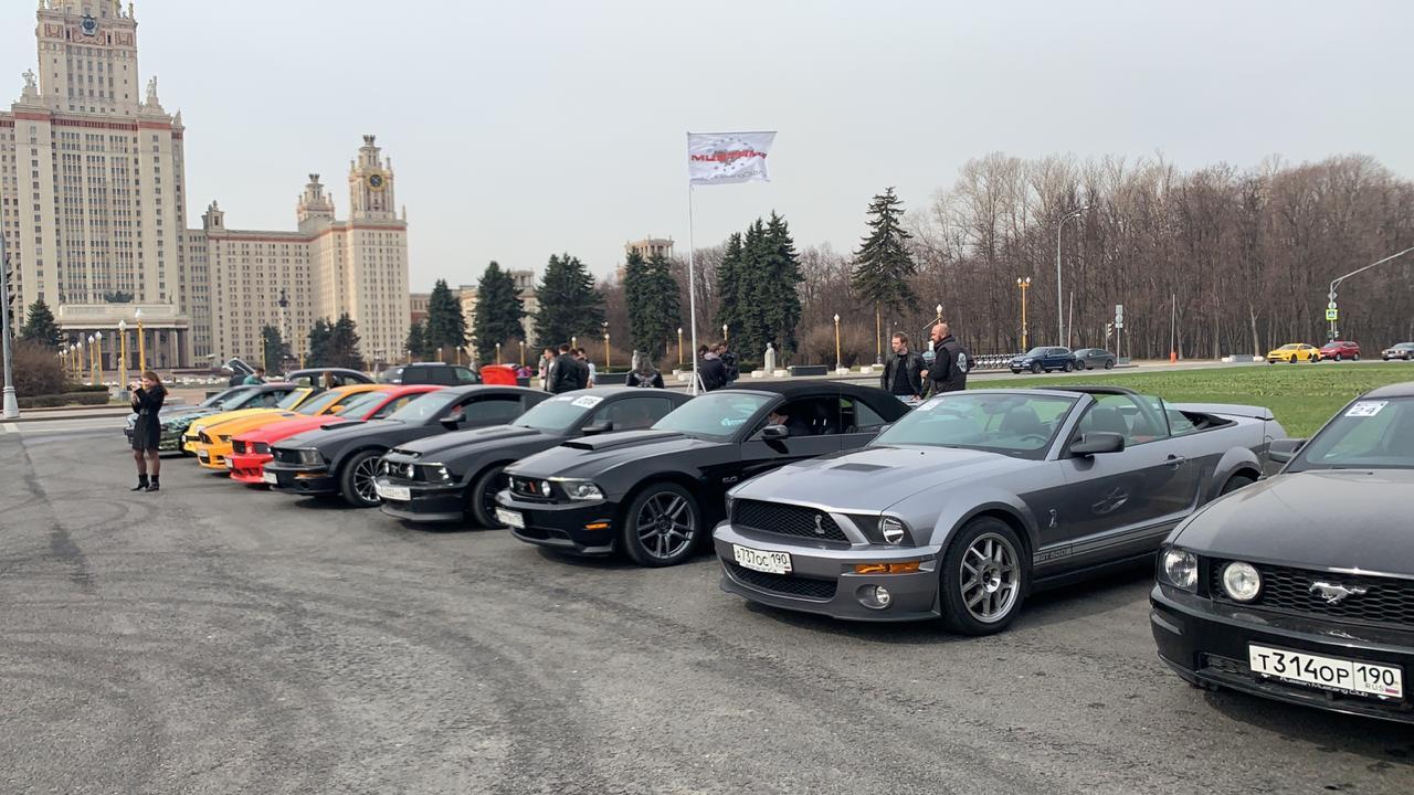 Ford Mustang & Russian Mustang Club Birthday