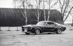 Mustang Birthday №55 (188).jpg
