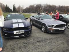 Mustang Birthday №55 08.jpeg