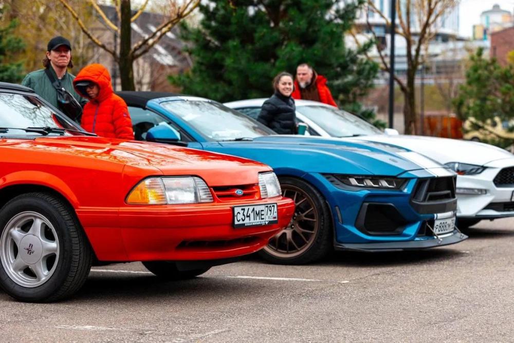 Изображение JPEG-4CEA-A522-48-0.jpeg